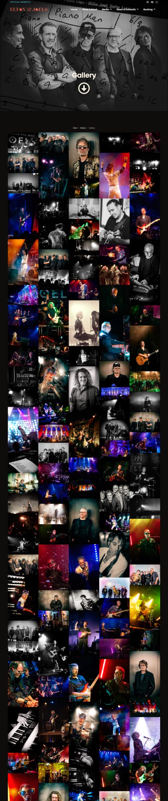 Screenshot der Website Elton and the Joels: Gallery